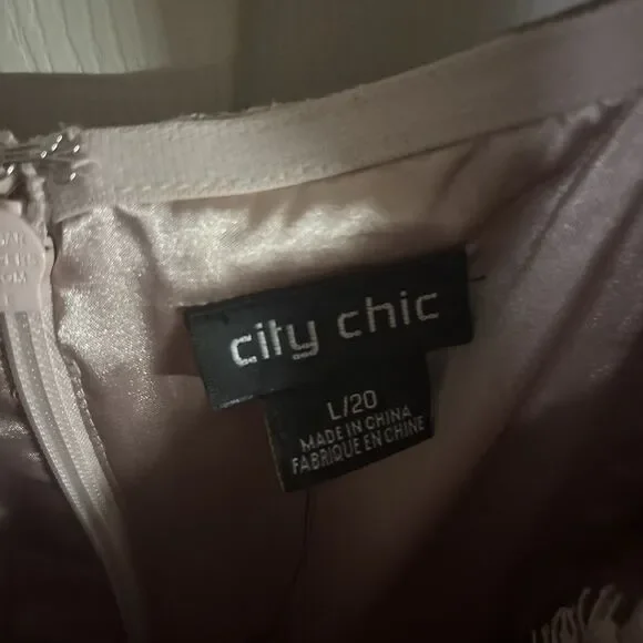 City Chic Women Size 20 Maxi Sweet Evie Pink Formal Dress Lace Chiffon Prom - Picture 7 of 8